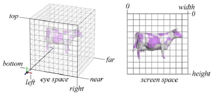 objects are projected to the 2D image place (screen space) Viewing Transformation (Perspective /