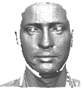 This 3D face formation process also undergoes with a manual segmentation in different regions which are labelled via different colors.