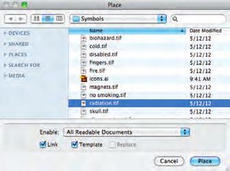 4. Choose File>Place a second time. Select radiation.tif in the list, check the Template option, and click Place.