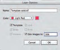 Double-click the thumbnail of the Template cold.tif layer.