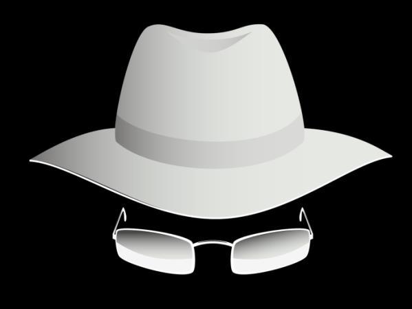 The White Hat Hacker Ethical Hackers -