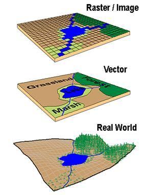 Vector model Data is represented using points, lines and polygons Useful for data that has discrete boundaries, such as streets, maps, rivers Raster model Data is represented as a surface modeled by