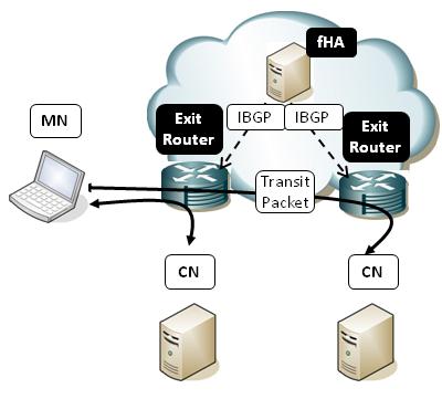Fig. 3. Data Packet Forwarding receive a list of the available fhas and will choose one based on any criteria (load balancing, RTT,...). 2.