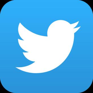 Twitter Twitter is a social media site where members can post and read short 140 character messages called Tweets. It has a massive user base, coming in at over 500 million members.