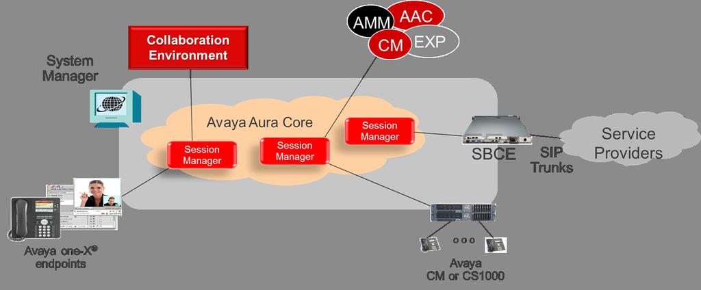 Avaya SIP Trunk Interoperability Testing Guidelines for Service Providers, Partners, and Customers Table of Contents Introduction.