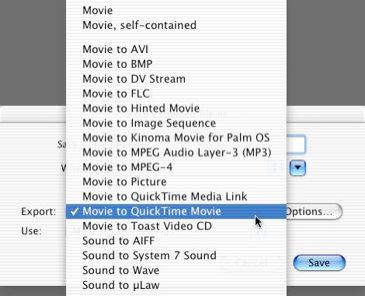 Audio / Video Formats MPEG-4 QuickTime Movie