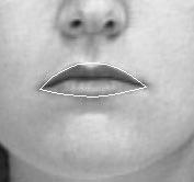 For the open mouth and the tightly closed mouth, there are non-lip pixels inside the lip contours.