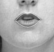 The lip contours for tightly closed lips are not correct.