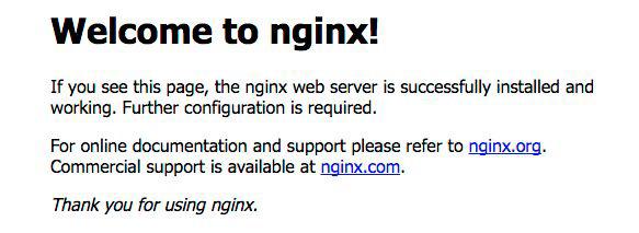 Testing by installing nginx Let s test our Docker installation by downloading and running nginx. Nginx is a popular lightweight webserver.