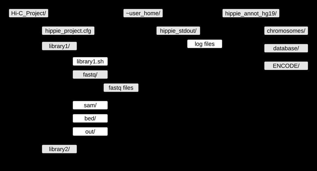 Prepare directory structure for hippie execution [ top] HIPPIE operates on a per-library (sample) level. A project can contain multiple libraries (samples) and each library resides in one directory.