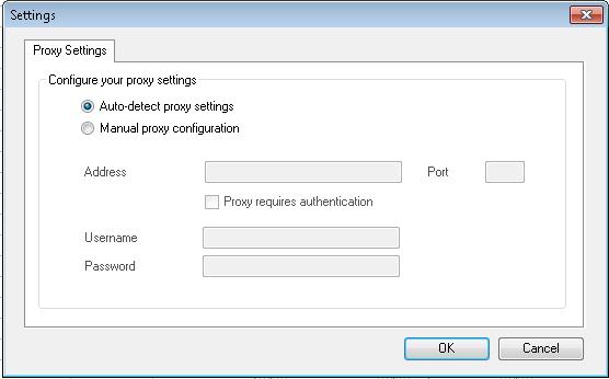 User can now connect to the Internet through the Seavus Google Apps add-in using the newly entered proxy settings.