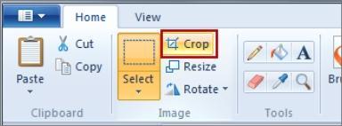 Click Crop. The new cropped image is displayed in the workspace.