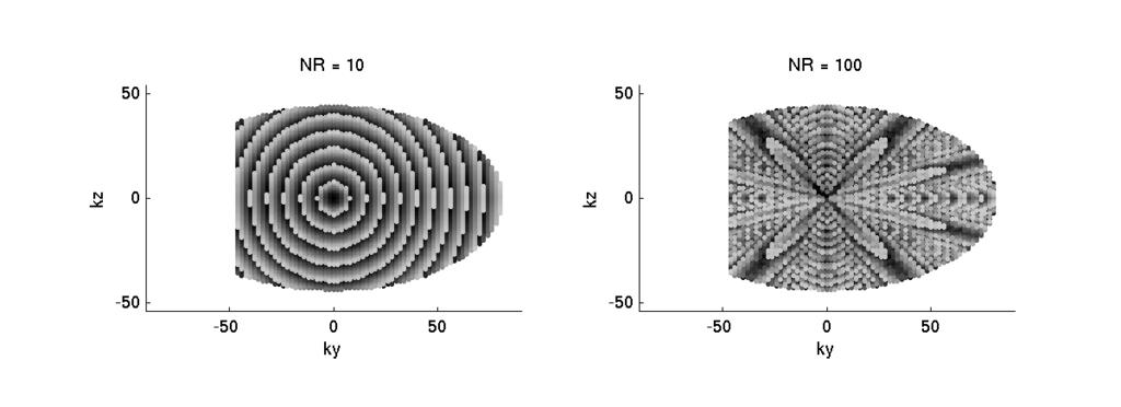Figure 4.4: Ring-based reordering of PE locations. PE sampling patterns resulting from our initial reordering scheme using varying number of rings (NR).