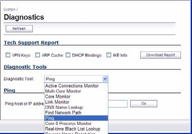Using Ping Ping is available on the System > Diagnostics page.