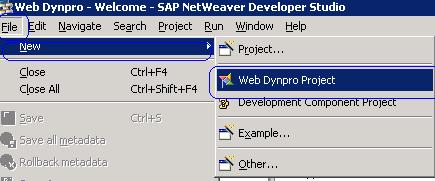 Introduction The document is about developing a new password reset tool for SAP Enterprise portal using Web Dynpro for Java.