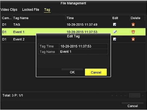 SECTION 7: RECORD, PLAYBACK AND VIDEO BACKUP In the Tag management window, click the Edit icon (see above) to edit the Tag Name, or click the Delete icon to delete it. 7.2.