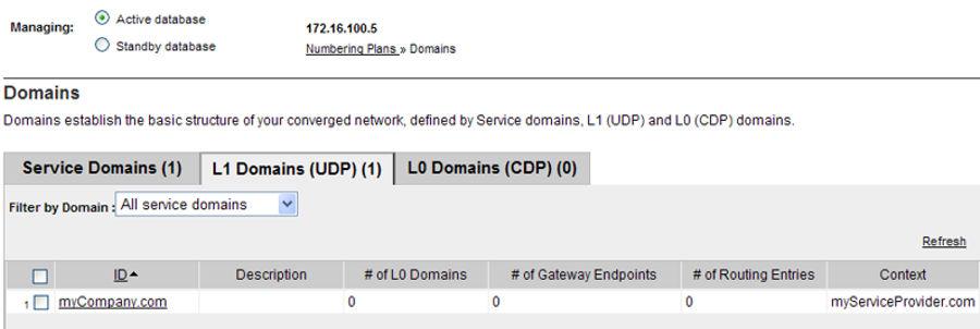 Configure and Manage the Network Routing Service Figure 62: L1 Domains (UDP) pane Active database 4. The Filter by Domain: drop-down list contains configured Service Domains.