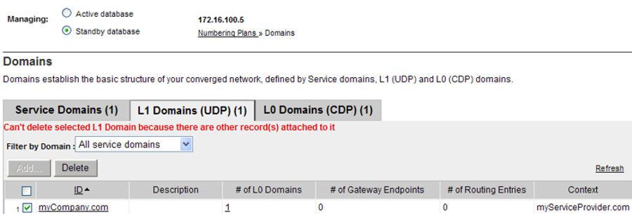 Configure and Manage the Network Routing Service Figure 66: Delete L1 Domain error message The associated L0 Domain or Collaborative Server must be deleted before the L1 Domain can be deleted.