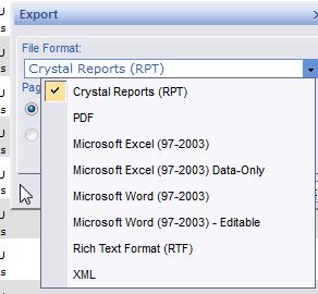 7. Select the file format and click Export. A separate window will open with your report.