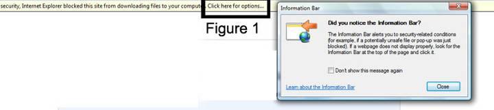 Depending on settings in your internet browser you might have to allow the file download first. Click here for options and then select Download File. (See Figure 1) 1.