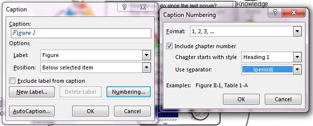 Type the text, including punctuation that you want to appear after the label. Update caption numbers If you insert a new caption, Microsoft Word automatically updates the caption numbers.