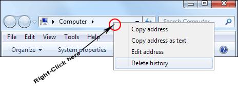 Select Delete History. It should clear the items in your Address bar.