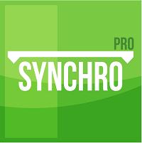 Synchro PRO 2016 Shared User License Manager Installation Instructions i electronically