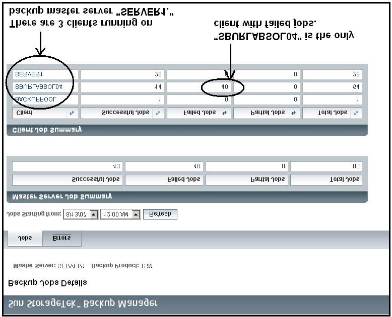 Click the name of the Master Server ( SERVER1) to display the Backup Jobs Details report (FIGURE 2-2).
