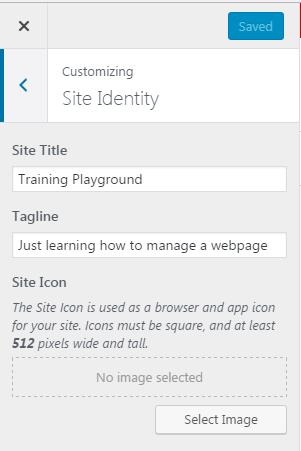 To change the Site Title, Tagline, and Site Icon, click on Site Identity. 2. At the top of the screen, you will see the Site Title and Tagline fields.