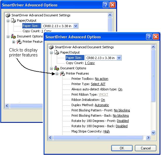 Using the printer driver 3-7 E Figure 3-4: Advanced Options, Windows 2000 and XP If the selections you want to use are not available (are grayed out), make sure the feature is available in the