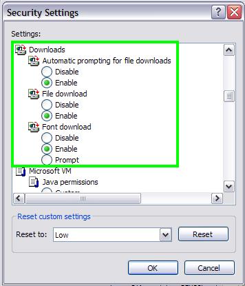 Instructor Self Service APPENDIX Setting Internet Options for Downloading 9. Click the Enable radio buttons under Automatic prompting for File downloads, File download and Font download. 10.