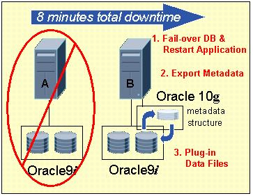 In parallel with the above steps, the application is restarted on the empty Oracle 10g database.