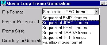Creating a Flight Path more information see Converting Image Files to Digital Video on page 63. Figure 1.14 Movie Loop panel showing the File Format list.