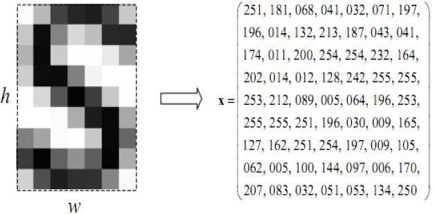 Figure 2: The pixel matrix feature extraction method E.