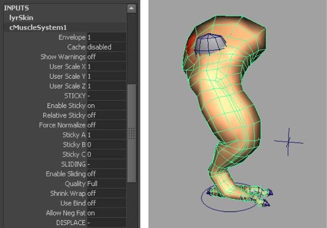 Lesson 5: Setting up Sliding deformation You now have a working muscle rig for the leg mesh. The Muscle skin deformer provides even more quality in the rigging with Sliding weights.