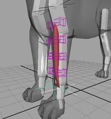 3 In the Attach Locs section, Ctrl-select the two end locators of the leg muscle: locmus_l_frontleg_end1 and locmus_l_frontleg_end2.