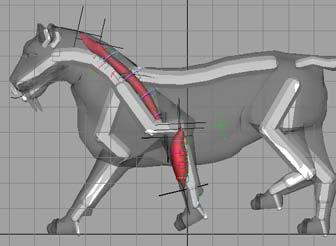 3 Scrub through the animation to view the effect of the changes you made. Beyond the lesson In this lesson you learned to adjust the muscle s length by altering its center line.