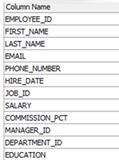 timestamp, SCN, source row id, key values, transaction id, operation type