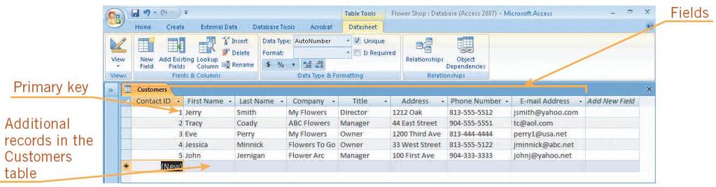 Database Concepts (continued) Database Structure: A table is composed of columns and rows, referred to as fields and records in Access.