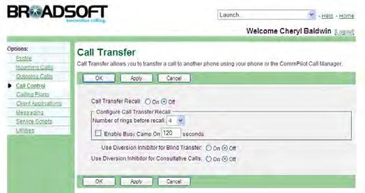 Figure 123 Call Control Call Transfer 1) On the User Call Control menu page, click Call Transfer. The User Call Transfer page appears, showing instructions for Call Transfer.
