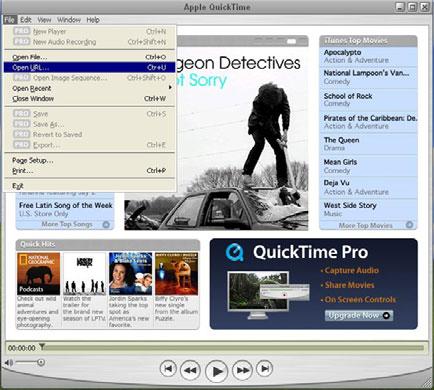 REMOTE OPERATION 5.3 QuickTime Player You can also use the QuickTime player to remotely log into the DVR and check the live view only. NOTE: QuickTime is Apple s multimedia software.