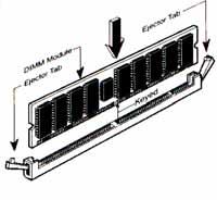 6 1. One DIMM Module ----Plug in DIMM1 2. Two DIMM Modules---Plug in DIMM1 and DIMM2 for Dual channel function 3. Four DIMM Modules---Plug in DIMM1/DIMM2/DIMM3/DIMM4. For Dual channel Limited! 4.