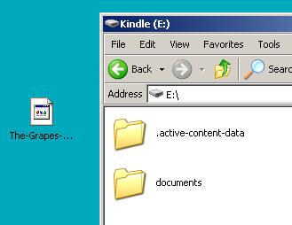 Copy the downloaded file from your computer into the documents folder on your Kindle device.
