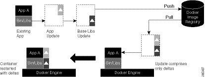 The application binaries for the applications to be hosted are installed inside the docker container.