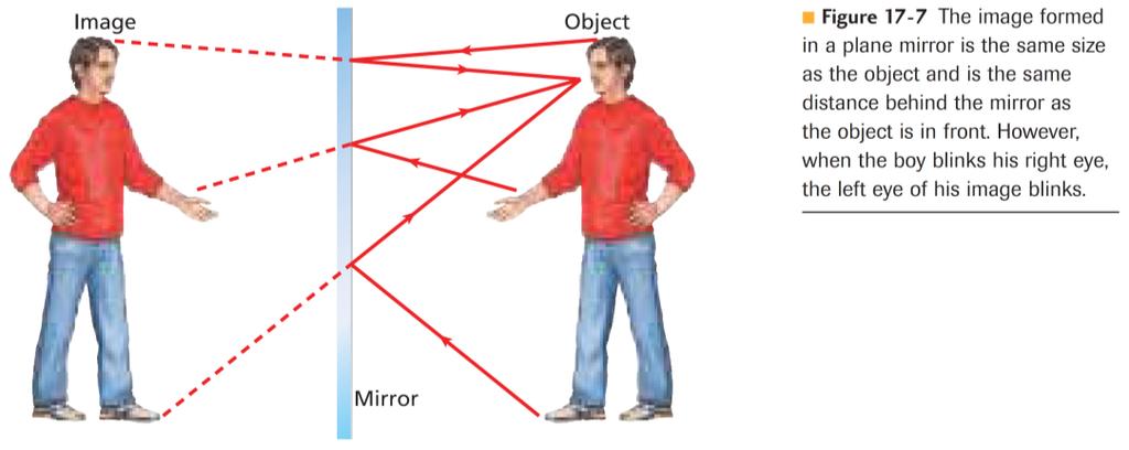 - the object height is the same as the image height in plane mirror reflection; the object height is symbolized as h 0 and the image height is h i - if the