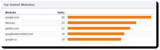 For more information, click the chart and Kerio Control Statistics takes you to the Visited Sites tab, where you can see further details.