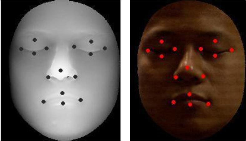 the benefit of their fusion for face recognition, we thus try to reduce at its maximum the impact by erroneous registration, and make use of 15 manually landmarked points to register 3D face models