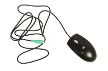 The mouse is a peripheral that is known as a pointing device. It lets you point to objects on the screen, click on them, and move them. There are two main types of mice: optical and mechanical.