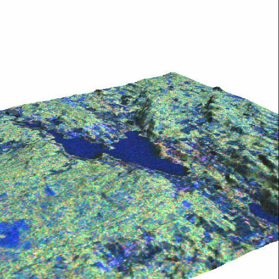Ortho rectified sub scene in 3 D view: 11 ALOS/Palsar Data and Forest Inventory Data in Heinavesi