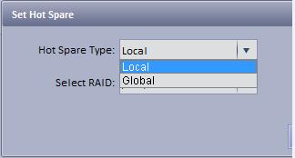 Figure 2-22 If you select local hot spare (only support Raid5): locally